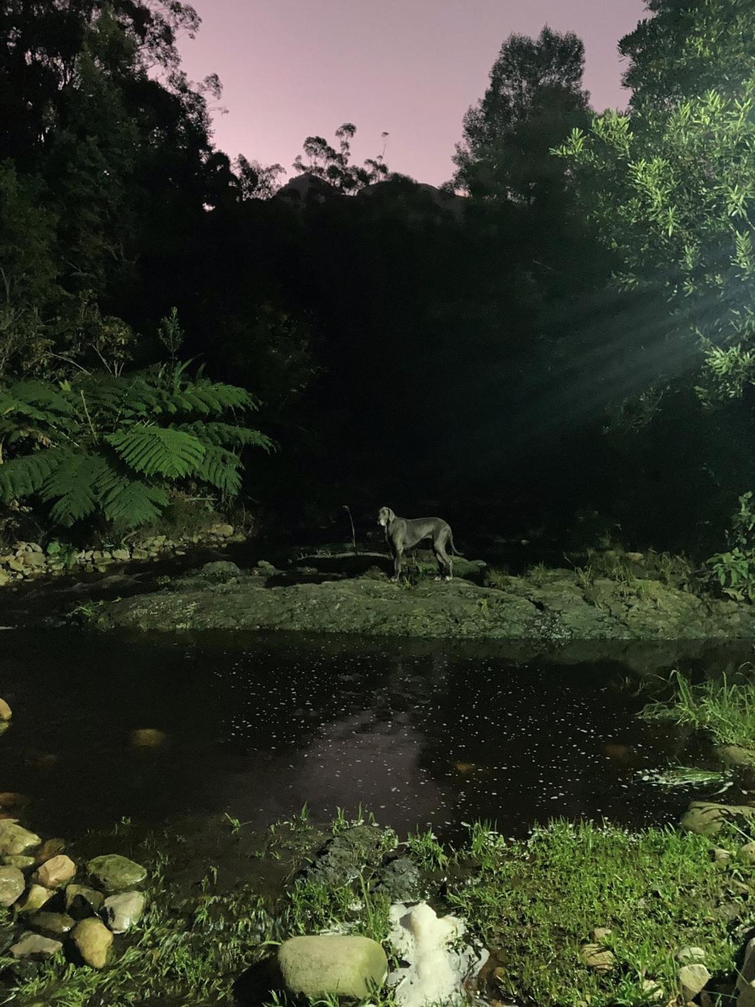 A Riverbed Guesthouse Swellendam Exterior foto