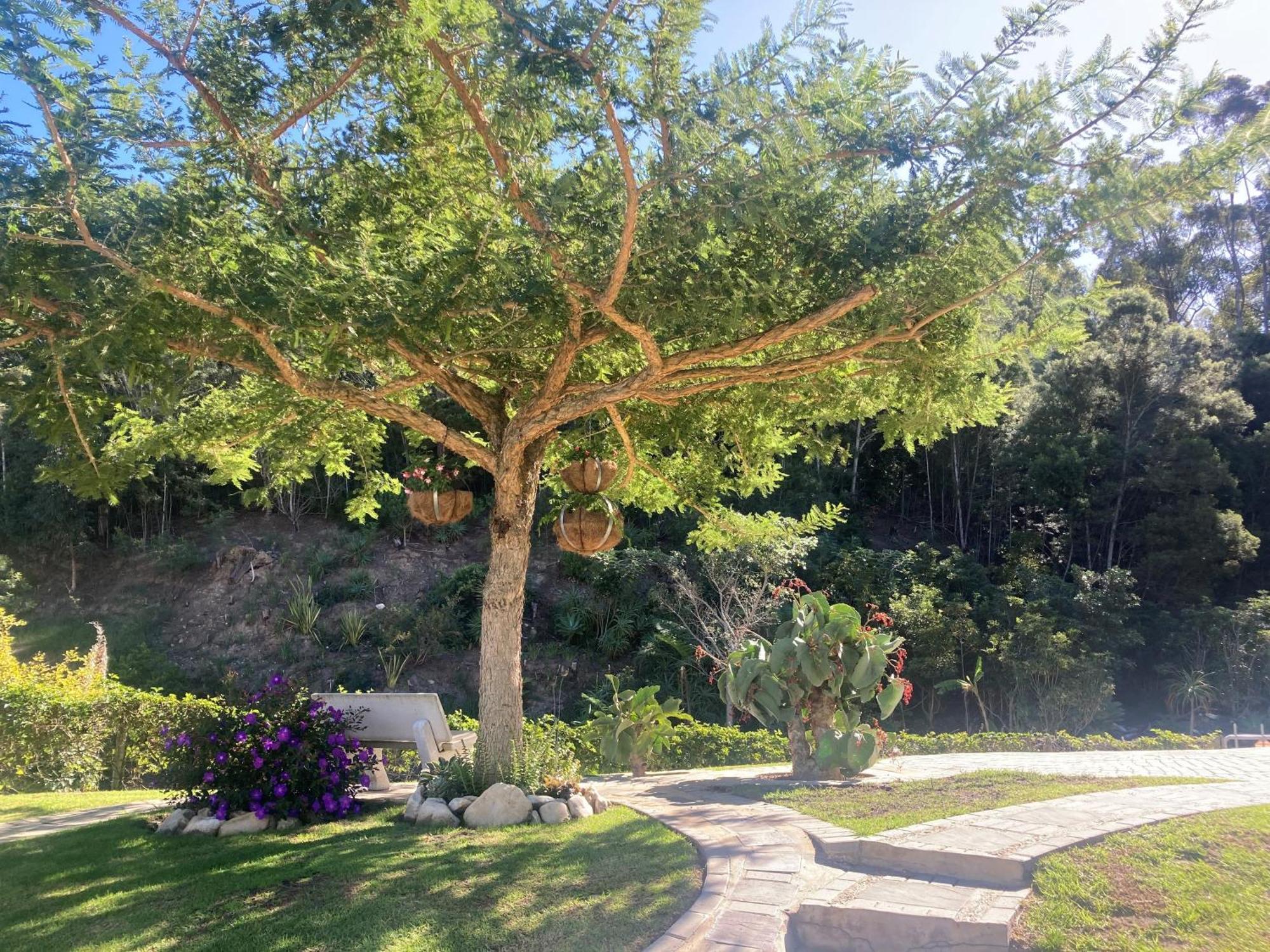 A Riverbed Guesthouse Swellendam Exterior foto